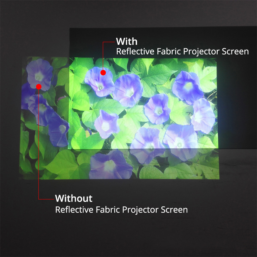 Pantalla de Proyección Reflect - Home Cinema Projector Screen reseña y precio