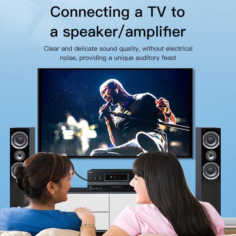 Cable RCA CHOSEAL, Cable de Au - Home Cinema App reseña y precio
